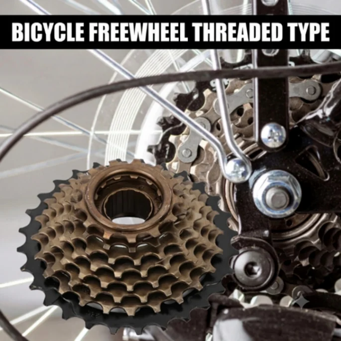 Bicycle Freewheel