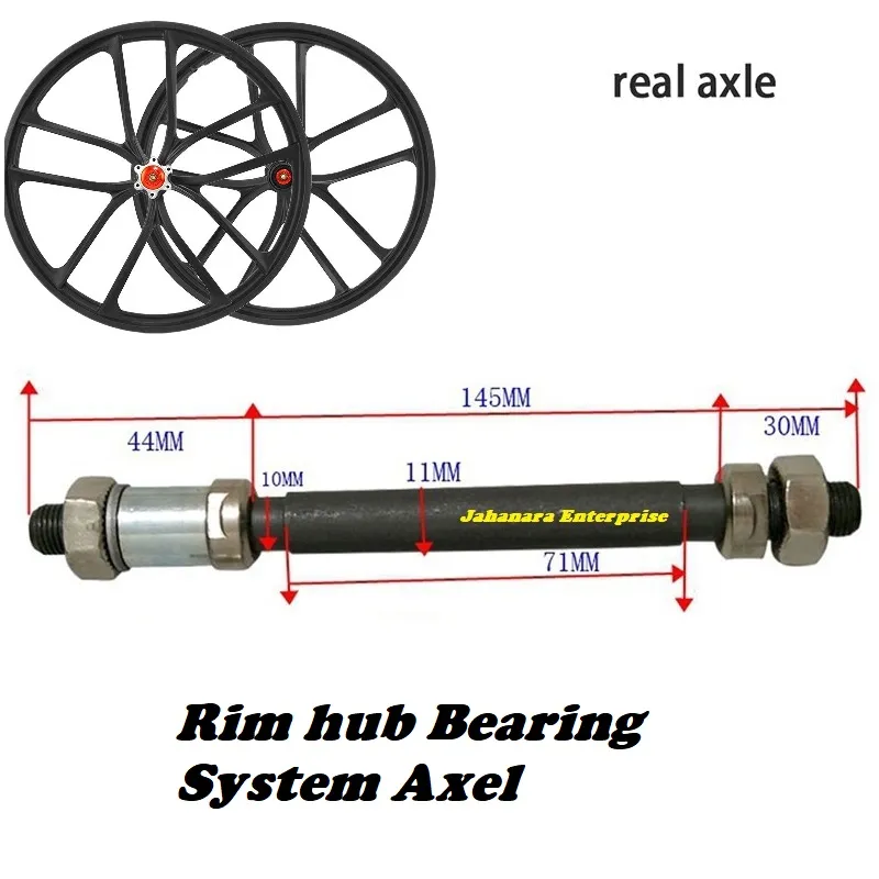 Rear Axle Bearing System
