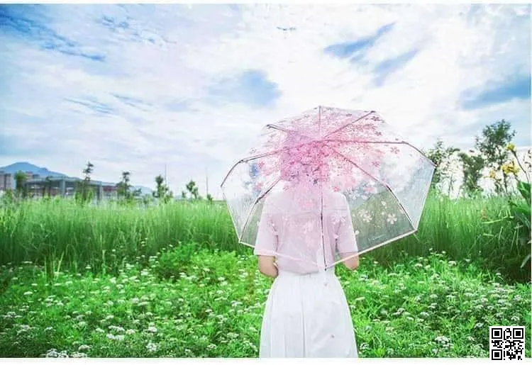 Transparent Umbrella thumbnail 2