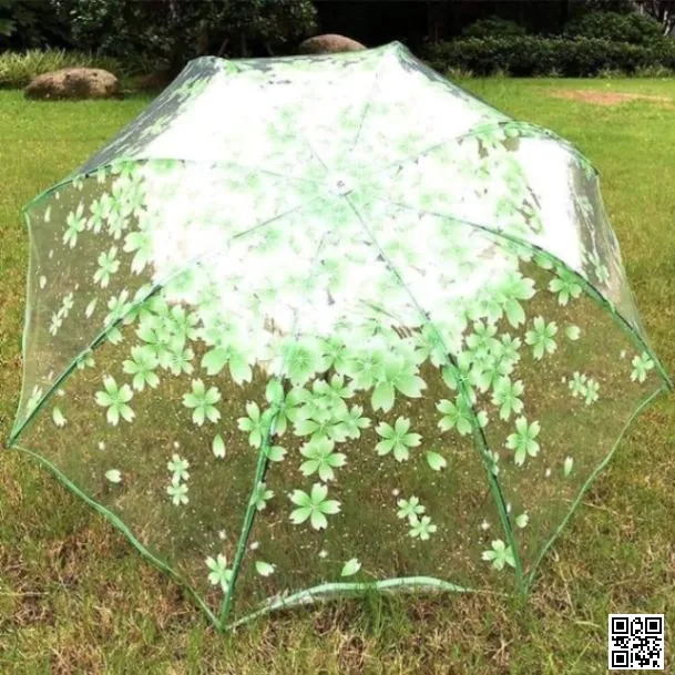 Transparent Umbrella thumbnail 4