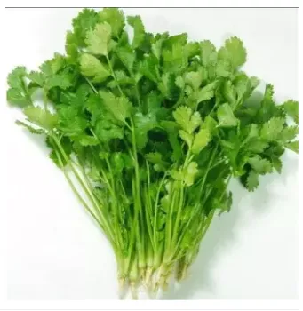 Dhaniya seed coriander seeds 50pic thumbnail 2