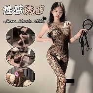 Net Body Dress for Women