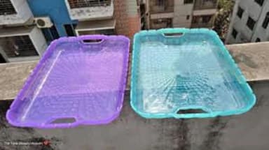 14 inc Multicolor Served tray 1 pis