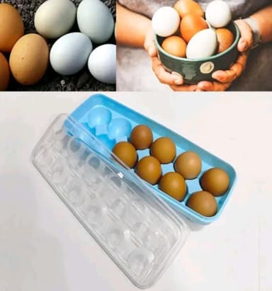 12 Eggs Dispenser Holder Eggs Storage Container Box Large 1 Dozen Capacity Plas