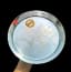 Small- 24cm&#x2F;9.44inch