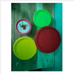 Transparent Plastic Rainbow Food Storage Box Container With Lid - 4pcs Set Thumbnail 4