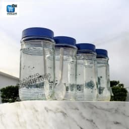 Premium 500ml Glass Storage Jars with Durable Plastic Lids Set of 4 Thumbnail 2
