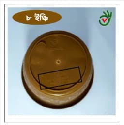 প্লাস্টিকের ফুলের টব ৮ ইঞ্চি 5 পিচ একসাথে (Super Hard Quality Plastic) Thumbnail 3