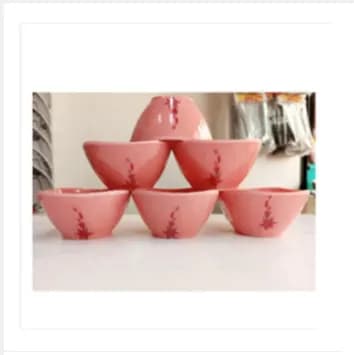 Akash Malamine Bati Set 6Pcs