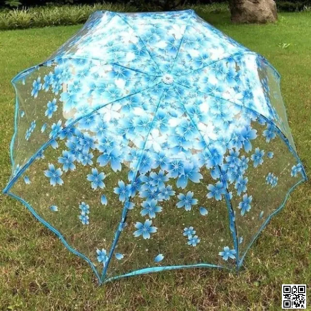 Transparent Umbrella thumbnail 1