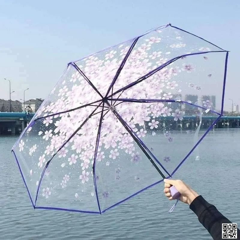 Transparent Umbrella thumbnail 3