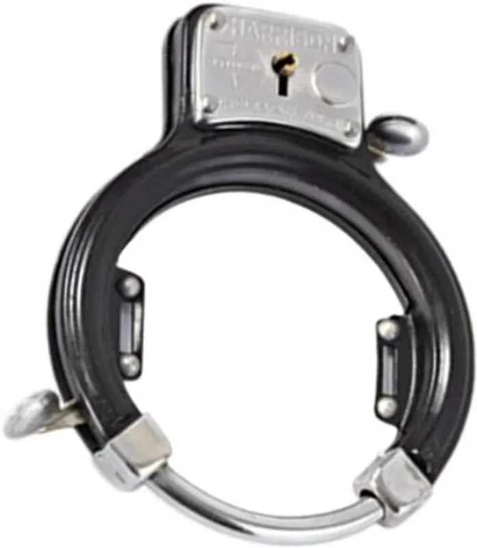 Cycle Frame Lock - Red -with 2 Keys ( 7 Lever ) Wheel Lock Cycle Lock 3