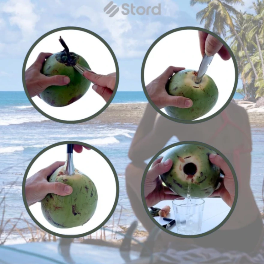Coconut Hole Opener/Coconut Opener/Coconut Cutter/Dab Opener 4