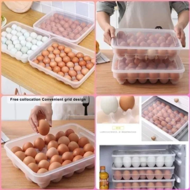 Egg Storage Box 24 Grids Plastic 3