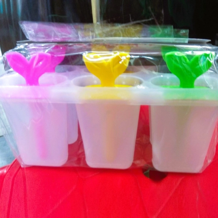 Ice Cream Mold (Oval) Ice Cream Lolly Mold for home use - 6 pcs 2